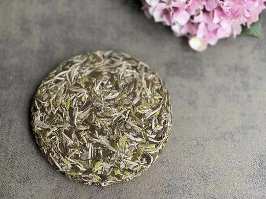 【2026春茶预订】2026清明白牡丹饼，汤水柔润、花香清丽，冰沁汤感媲美冰肌（1饼收藏装） 商品图2