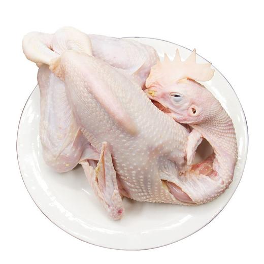 大公鸡（冻）（1600±100g）多退少补 商品图1
