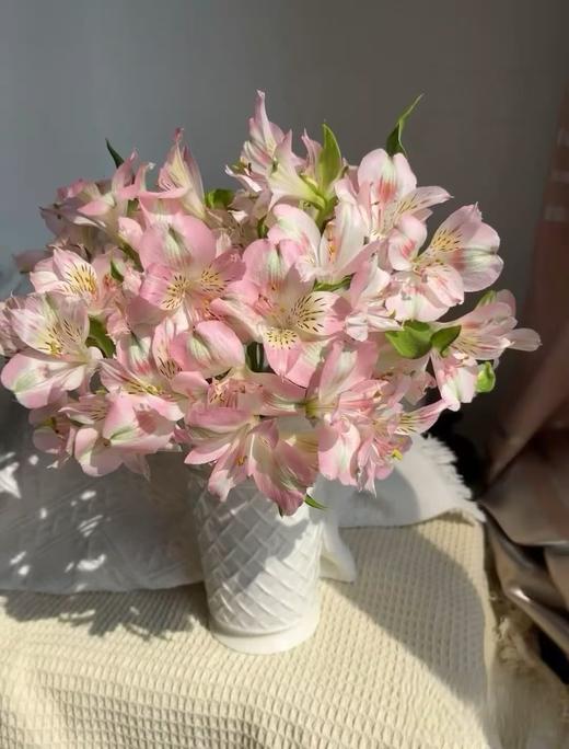 水仙百合10支 商品图2