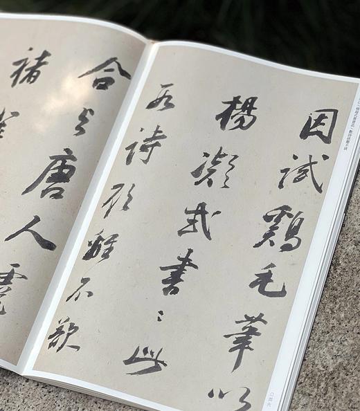 《董其昌行草墨迹》套装7本 樊利杰王晓钟 主编  湖北省博物馆 编 平装锁线订 商品图5