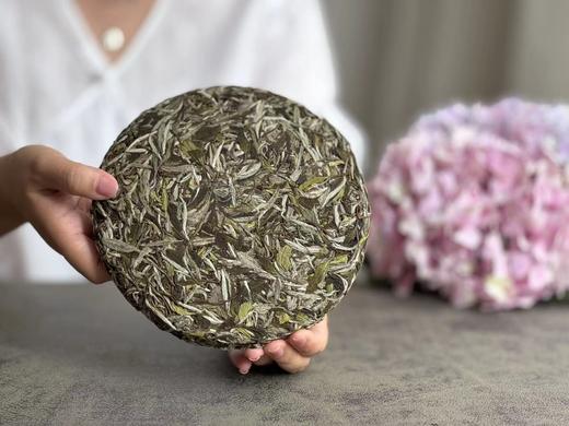 【2026春茶预订】2026清明白牡丹饼，汤水柔润、花香清丽，冰沁汤感媲美冰肌（1饼收藏装） 商品图0