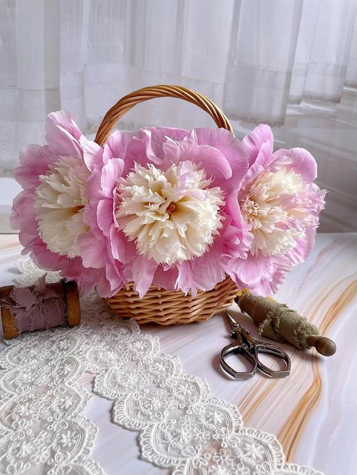 【预售！4.20起陆续发出】我的星【人间四月天，芍药铺庭前】简小姐精选新品芍药 我的星 5枝 2件顺丰包邮 商品图3