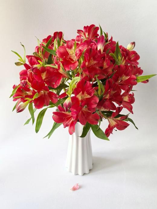 水仙百合10支 商品图1