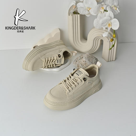 经典鲨2026年春季专柜新品男士韩版平底系带舒适休闲鞋板鞋KF19-613011 商品图1