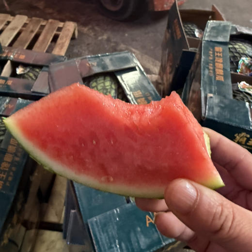 任志荣 麒麟西瓜 🍉甜度好 酥脆 9-9.5斤/个 45/个 产地云南 商品图2