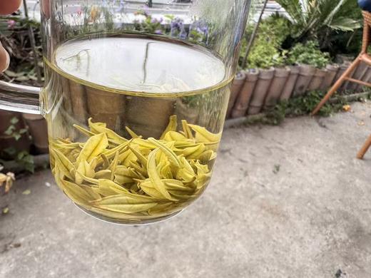 2026春  一级  鸡汤鲜 安吉白（里黄杜） 125克起 商品图7