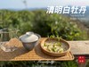 【2026春茶预订】2026清明白牡丹，汤水柔润、花香清丽，犹如在喉间，开出了一朵朵炫烂的春日之花（4斤收藏装） 商品缩略图5