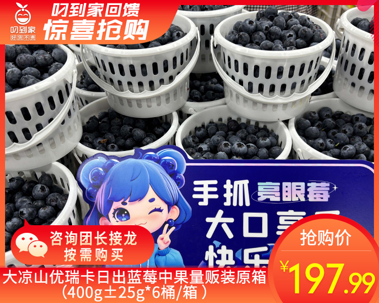 大凉山优瑞卡日出蓝莓中果量贩装原箱（400g±25g*6桶/箱 ）