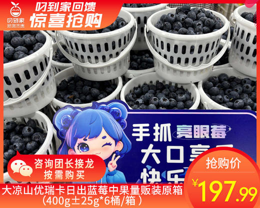 大凉山优瑞卡日出蓝莓中果量贩装原箱（400g±25g*6桶/箱 ） 商品图0