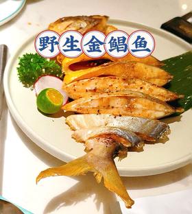 纯野生金鲳鱼上岸了! 家庭高性价比海鱼，肥溜溜的品质，口感巨鲜美  【新鲜活冻】