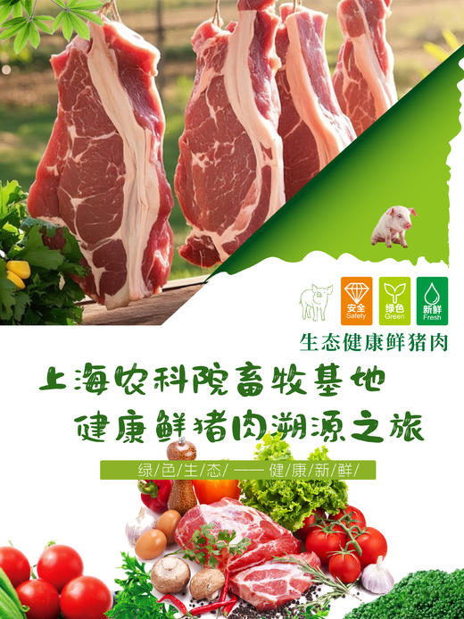 上海农科院畜牧基地健康鲜猪肉（预定） 商品图0