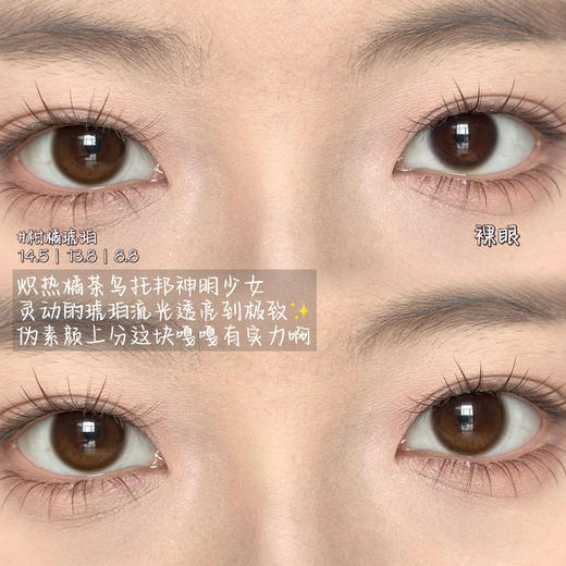 Sondercon日抛·T11柑橘琥珀·14.2直径·中等着色·10片装 商品图1