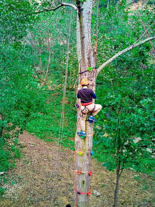 2026生存挑战— 峡谷穿越，岩壁攀登，埋锅造饭，最酷的户外玩法来袭！~ 商品图2