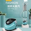 【双杆挂烫机家用蒸汽电熨斗】家用智能立式大功率增压平烫熨烫机 商品缩略图1