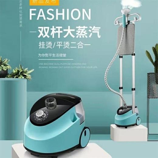 【双杆挂烫机家用蒸汽电熨斗】家用智能立式大功率增压平烫熨烫机 商品图1