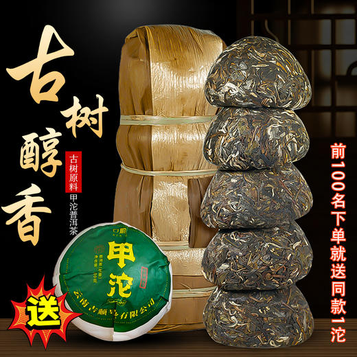 【前100名送 1沱】2026年新茶甲沱南糯山春茶100克*5沱 商品图0