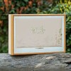 清风【米.5听白茶】40元1套，整箱14套 商品缩略图1
