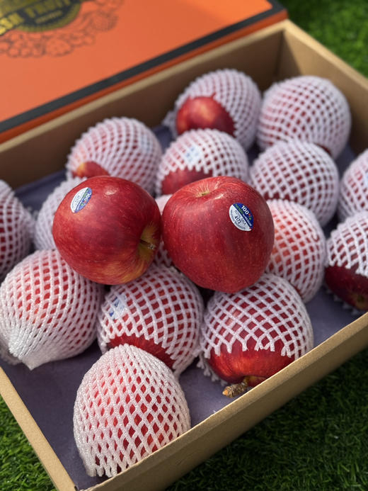 新西兰佳丽苹果 商品图4