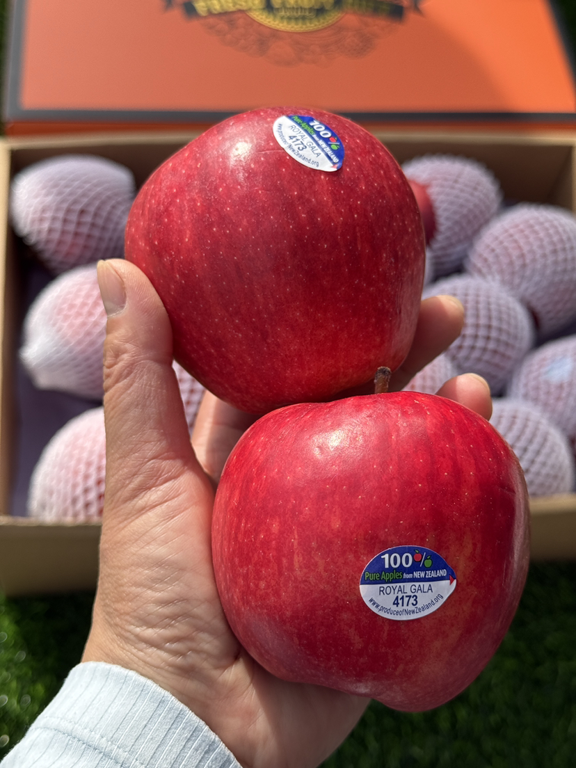 新西兰佳丽苹果