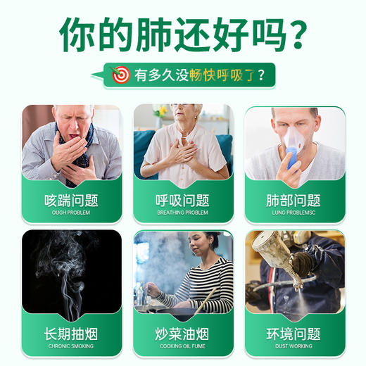 Vinsic 肺能量 商品图1