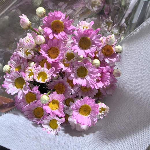 玛格丽特.粉色 商品图3