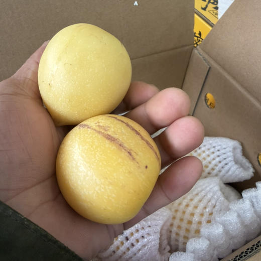 纯树熟人参果 口感好 甜味佳 多汁 35/件 3斤净果 商品图2