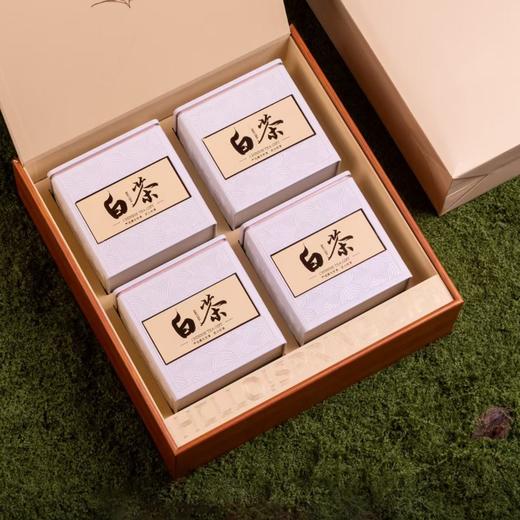 春天的礼物【黄.4听白茶（配内袋）】40元1套.整件12套 商品图3
