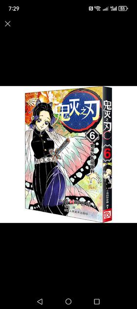 鬼灭之刃.6