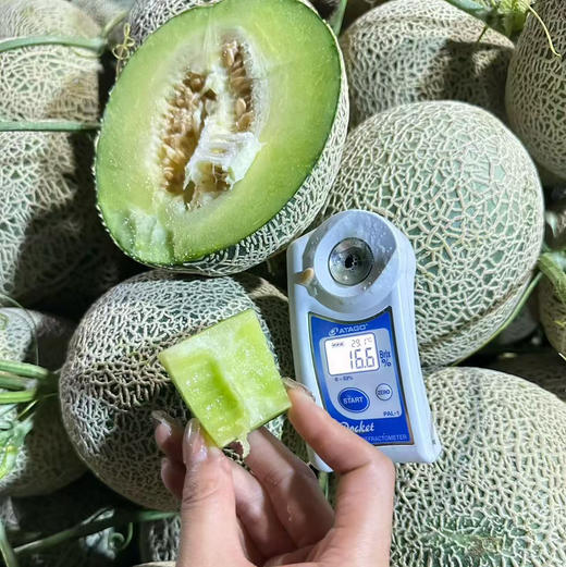 口口蜜🍈网纹瓜 约2..5斤 15.8/个 新货需放软 口感绵甜 商品图1