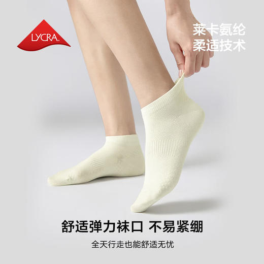 MM 山姆 Member's Mark 吸湿速干长绒棉女短袜 8双装 时尚色 商品图7