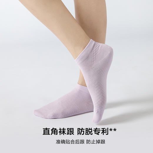 MM 山姆 Member's Mark 吸湿速干长绒棉女短袜 8双装 时尚色 商品图5