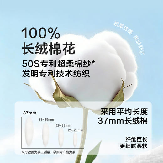 MM 山姆 Member's Mark 长绒棉女士内裤 6条装 混色 商品图3