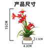造景花草系列【02款】，适于刺身造景，冷热菜及餐桌看台造景。 商品缩略图2