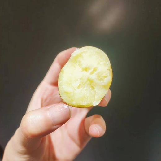 恩施高山富硒小土豆，绵糯香甜 ，口感十分香醇，八十年老品种  现挖现发，一口甜、香、糯 商品图2