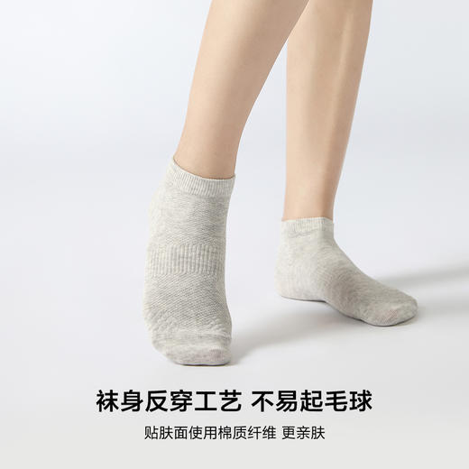 MM 山姆 Member's Mark 吸湿速干长绒棉女短袜 8双装 时尚色 商品图9