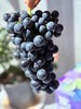 蓝莓葡萄 商品缩略图1