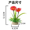 造景花草系列【04款】，适于刺身造景，冷热菜及餐桌看台造景。 商品缩略图2