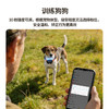 美舟豹新款T12电击训狗定位器，北斗GPS卫星猎犬追踪定位器（无二次收费） 商品缩略图2