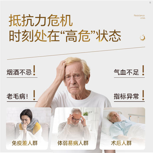 Vinsic 人参皂苷 商品图1