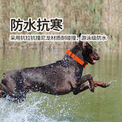 美舟豹新款T12电击训狗定位器，北斗GPS卫星猎犬追踪定位器（无二次收费） 商品图4