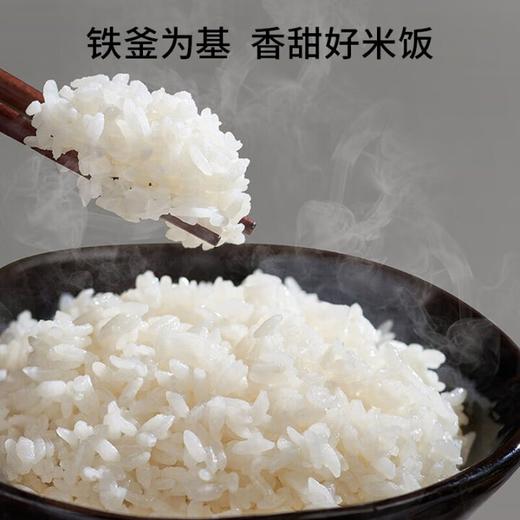 九阳电饭煲0氟珐琅瓷釜4L升家用多功能预约微压快煮电饭锅煮饭锅 商品图7