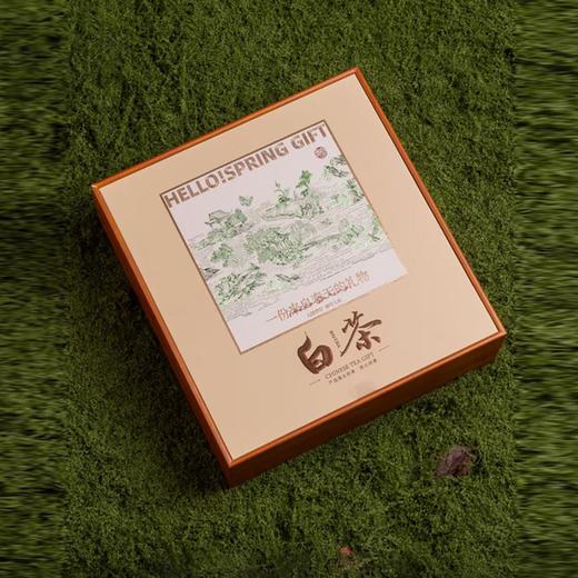 春天的礼物【黄.4听白茶（配内袋）】40元1套.整件12套 商品图1