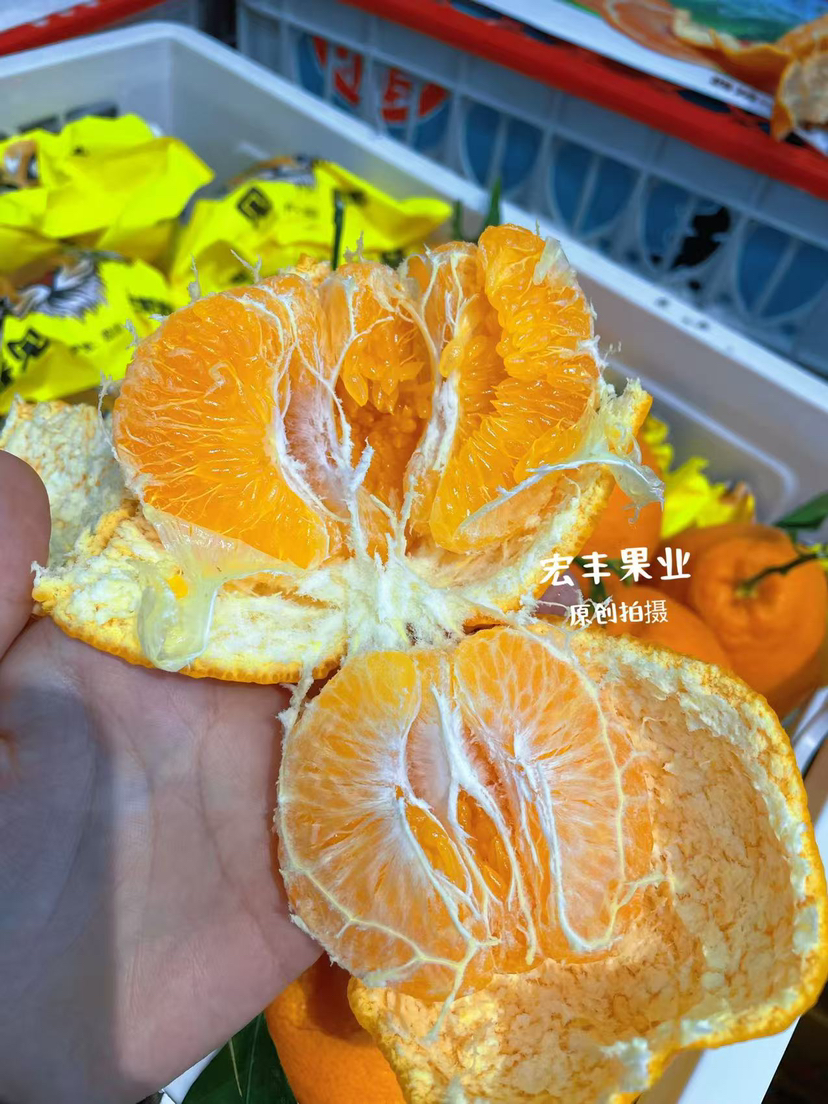 宏丰精选 春见耙耙柑，口感甜，肉质细嫩、味道浓郁，活动价9.9元一斤
