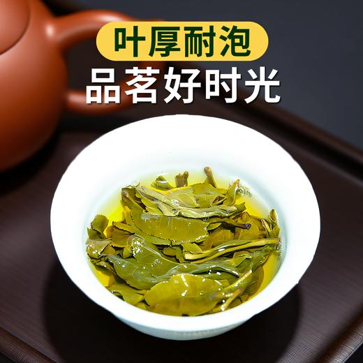 【前100名送 1沱】2026年新茶甲沱南糯山春茶100克*5沱 商品图5