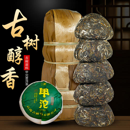 【前100名送 1沱】2026年新茶甲沱南糯山春茶100克*5沱 商品图6