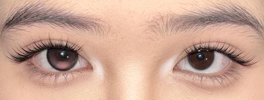 Mixmixx半年抛·腹黑千金/娇憨千金Pro/财阀千金/富家千金·14.5直径·中大着色·2片 商品图3