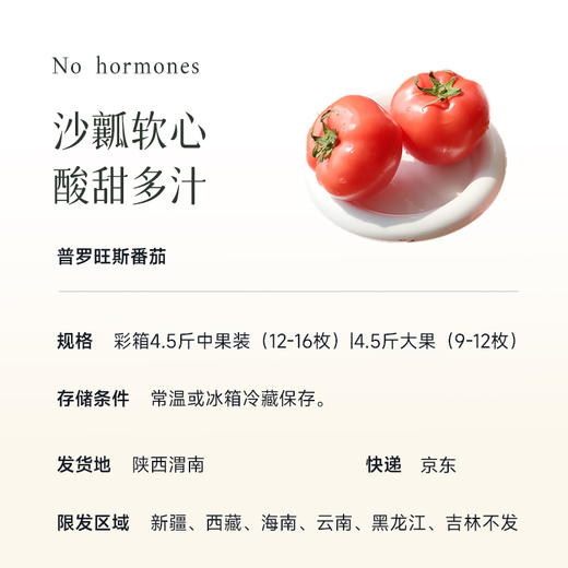 【记忆中的番茄味】普罗旺斯番茄 新鲜现摘现发 颗颗饱满自然成熟 沙瓤软心 不催熟不打药 不打催红素的西红柿 凉拌、炖炒都好吃~ 商品图3
