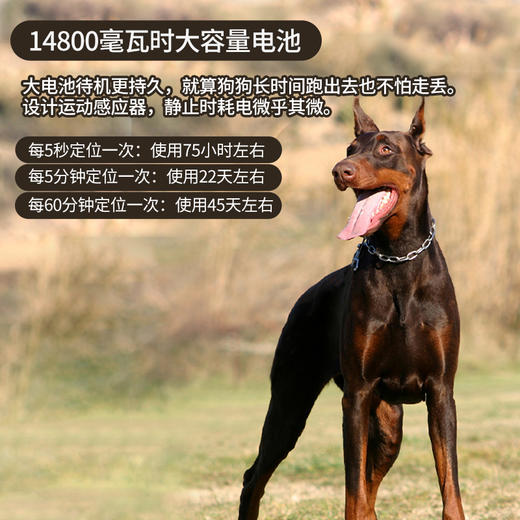 美舟豹新款T12电击训狗定位器，北斗GPS卫星猎犬追踪定位器（无二次收费） 商品图3