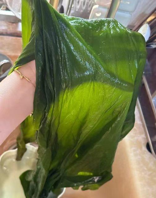 【48h发货 有机海带嫩芽】有机认证 一箱一码 非人工养殖 40米深海自然生长 入口嫩滑 味道鲜美 商品图2