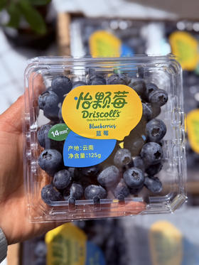 云南怡颗梅14+蓝莓